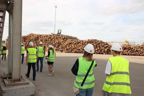 А вы знали, что OSB делают из осины? А вы знали, что OSB делают из осины?